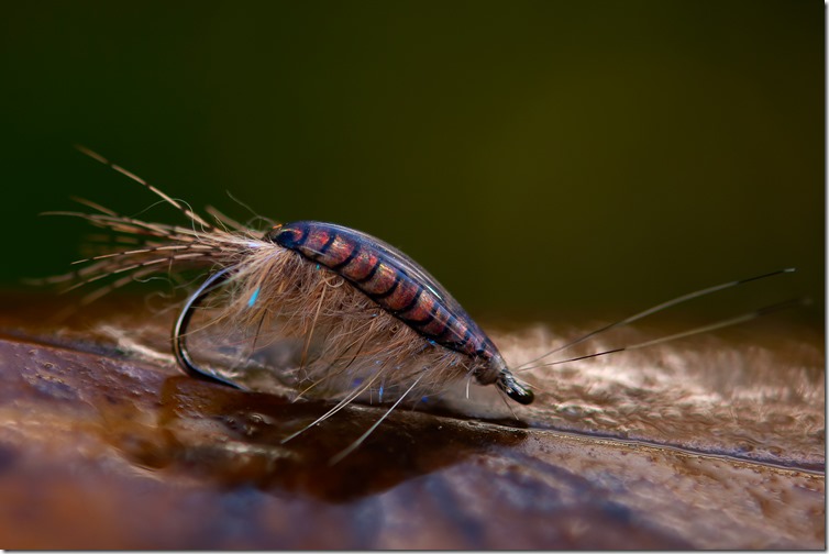 Natural PS Scudback Scud by Agne Sjöberg-02-2