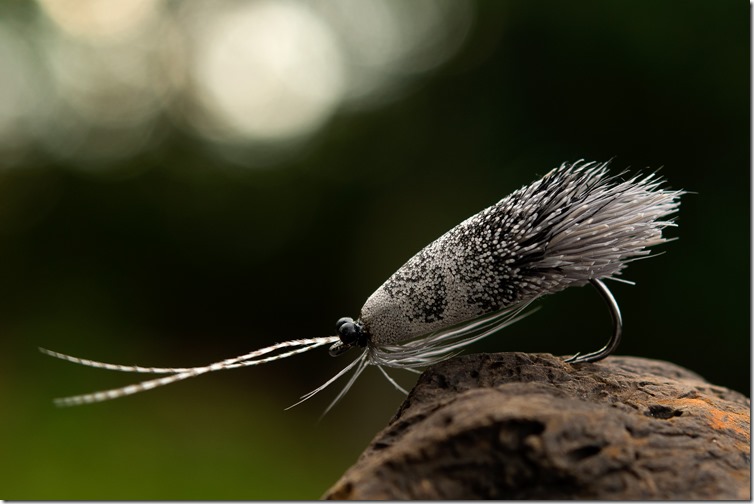 Gray Deer Hair Caddis by Kim Mäki-03