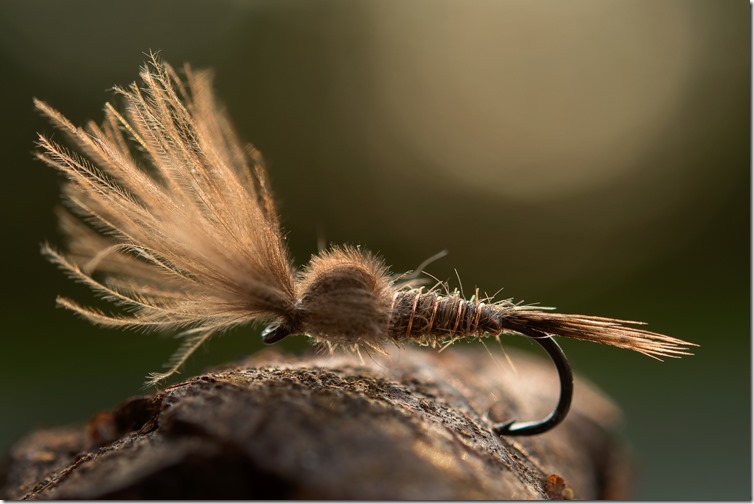 March Brown Emerger by John Rasmussen-03