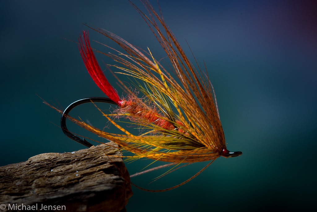 Pattegrisen Whiting Spey Feathers Ahrex Hooks Salmon Sea Trout Fly Fishing 