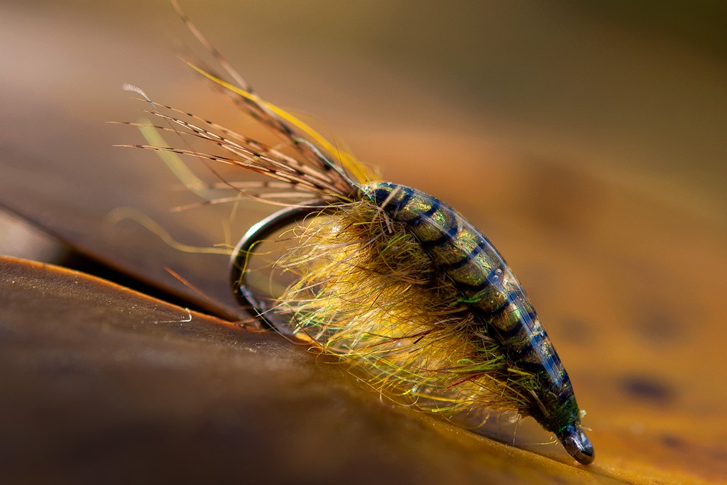 Gammarus – small but important - Ahrex Hooks