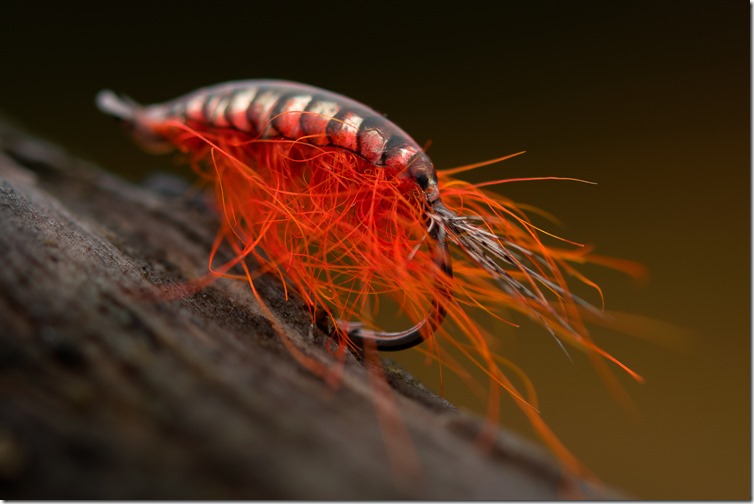 Orange PS Scud by Agen Sjöberg-02