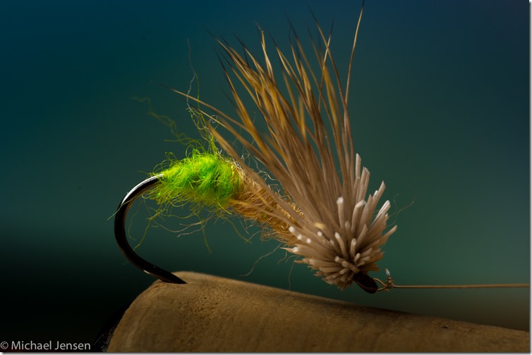 Egglaying Caddis - tied by Michael Jensen (1 of 1)