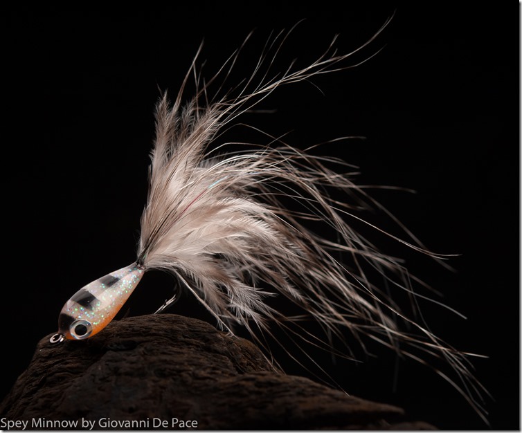 Spey Minnow by Giovanni De Pace-01-2