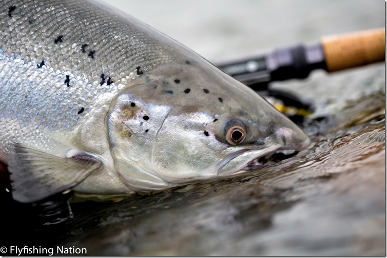 QZ4A2434 Photo Credit The Flyfishing Nation