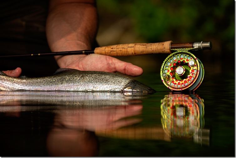 Rainbow Trout & Able Reel-02