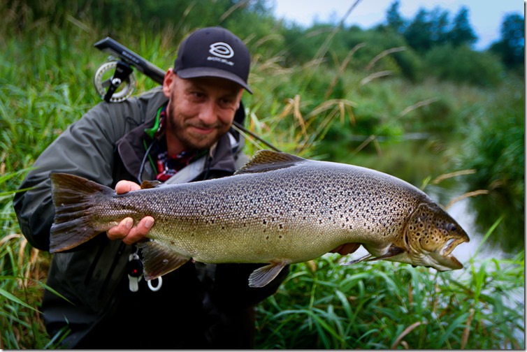 Danish Seatrout by Peter Birch Christensen-02