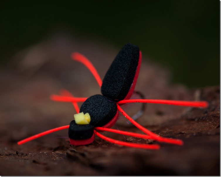 Searun Foam Beetle - Red by Mathias Ibsen-01