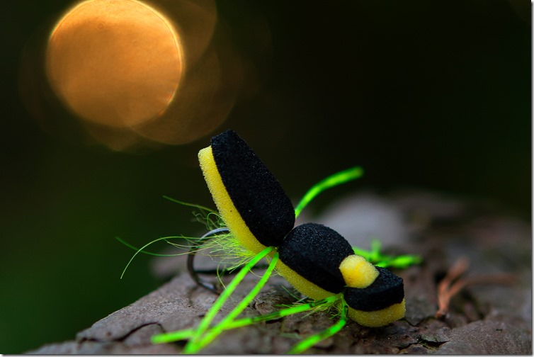 Searun Foam Beetle - Yellow by Mathias Ibsen-04