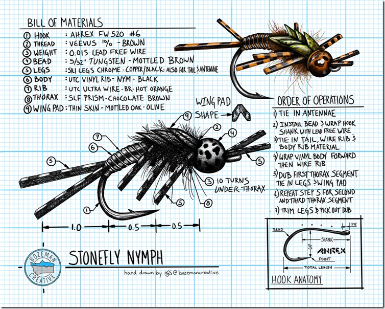 ENG-STONEFLY