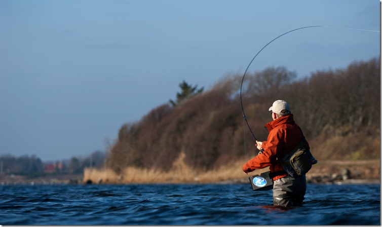 Ahrex Hooks Archives - Michael Jensens Angling