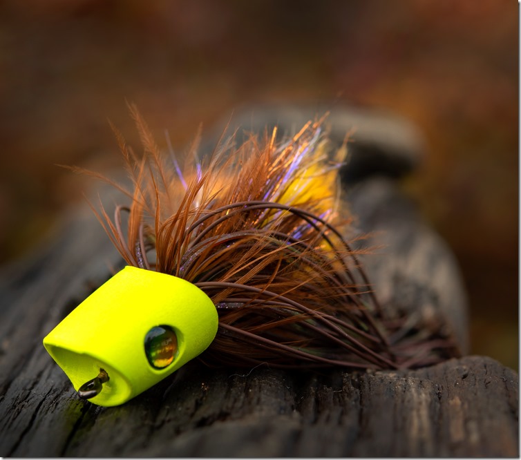 Brown & Yellow Popper by William MacDonald - Get Fly Bass-03