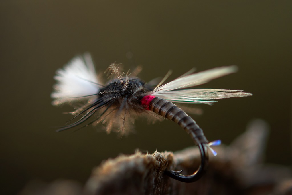 Midges in winter – and new fly tying videos - Ahrex Hooks