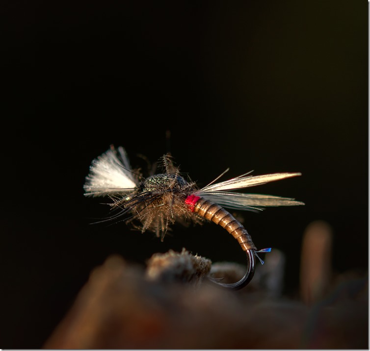 Crawling Midge by Roy Ole Jakobsen-03