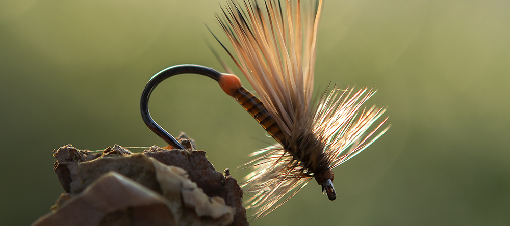 FW503 – Dry Fly Light, Barbless