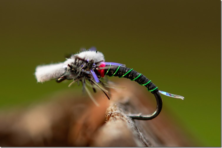 Straggle String by Roy Ole Jakobsen-05