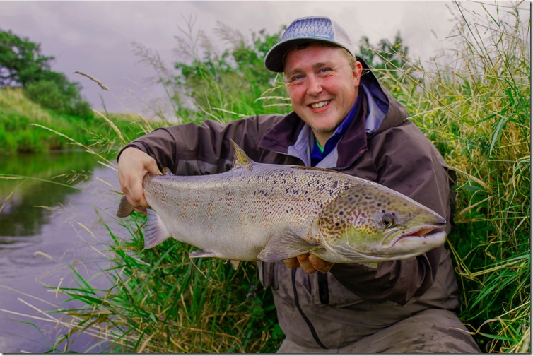 Danish Salmon - Photo by Mathias Ibsen-01