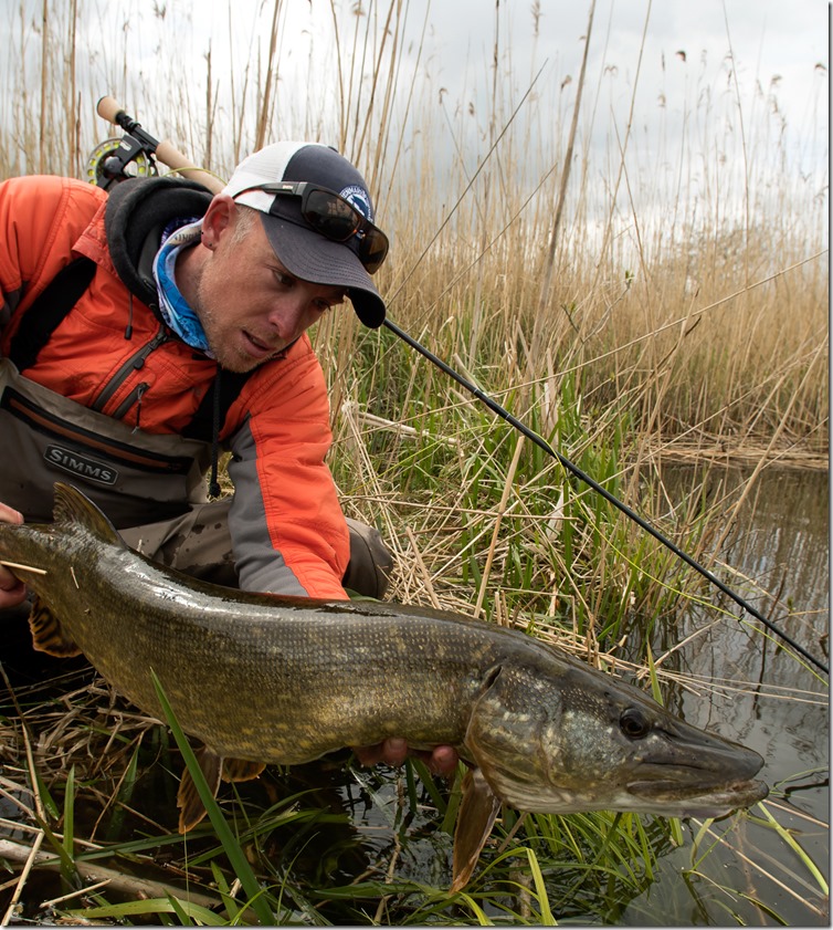 Post spawn pike – needs a slow hand - Ahrex Hooks