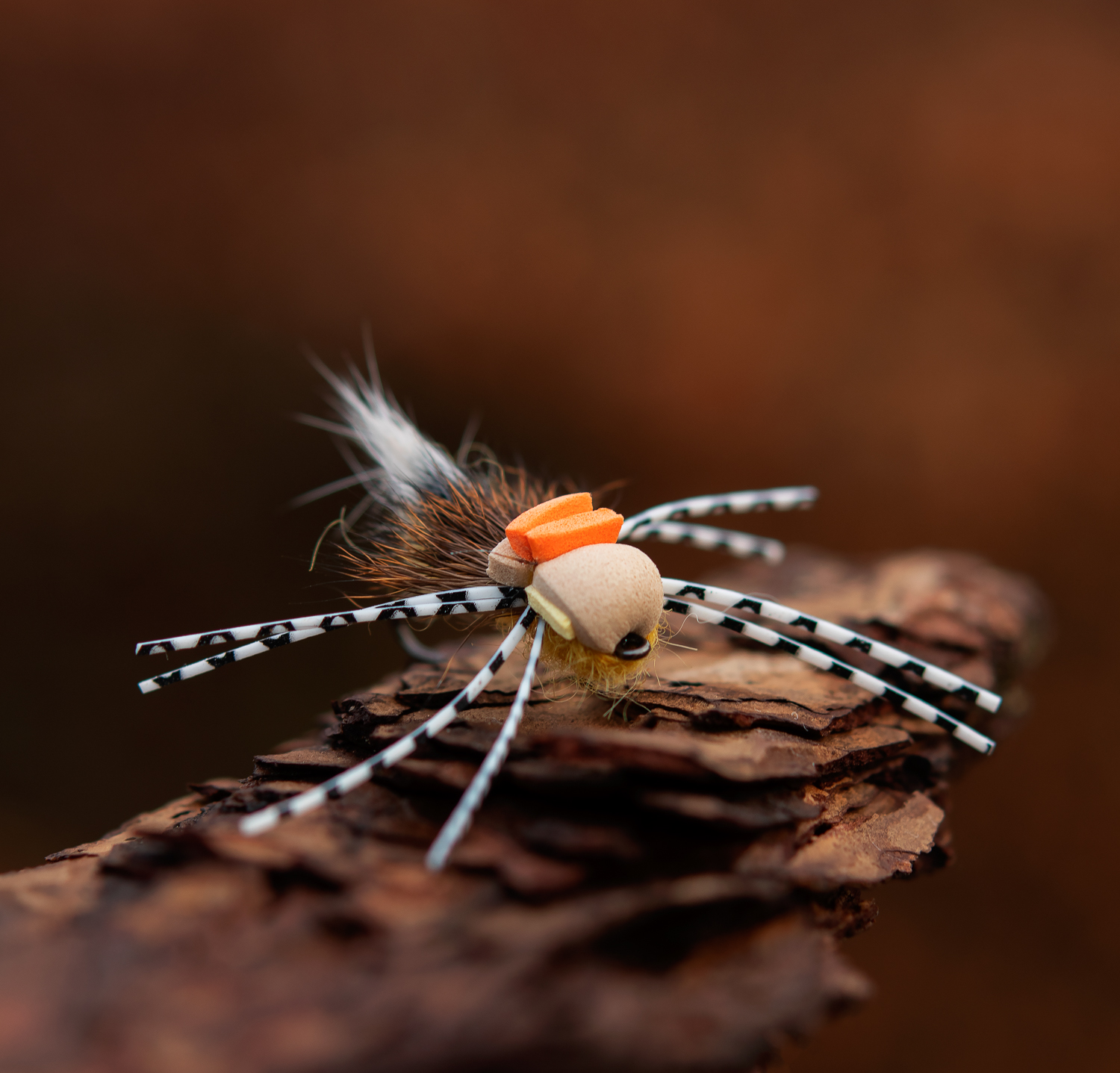 Foam Beetle by Brian Ratcliff-01