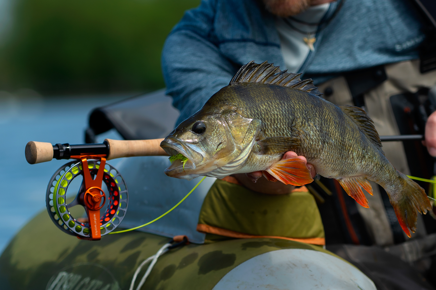 Fishing for european redfin perch using fishing lures — Steemit