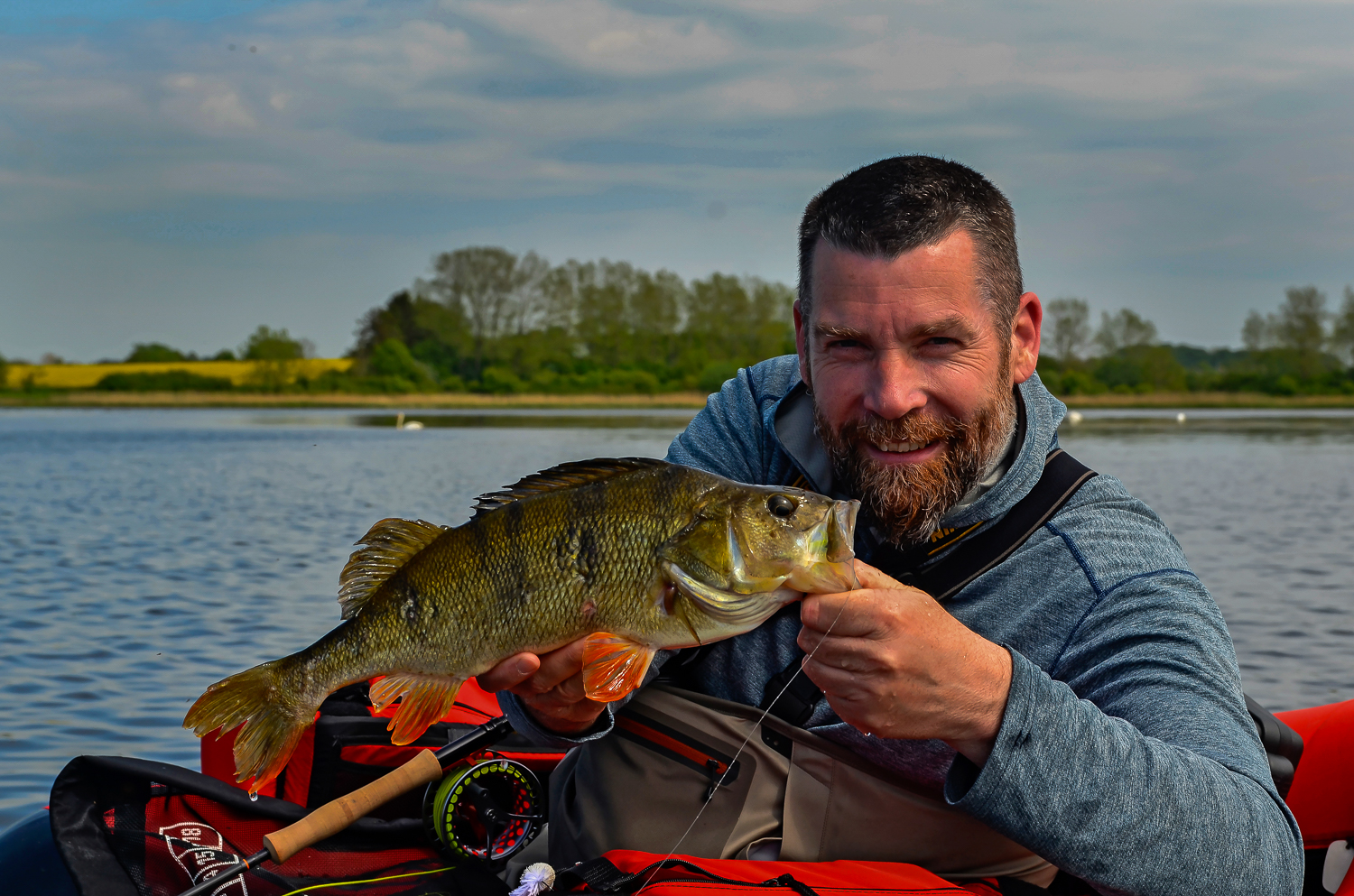 Big perch on the fly - Hlehle Blog