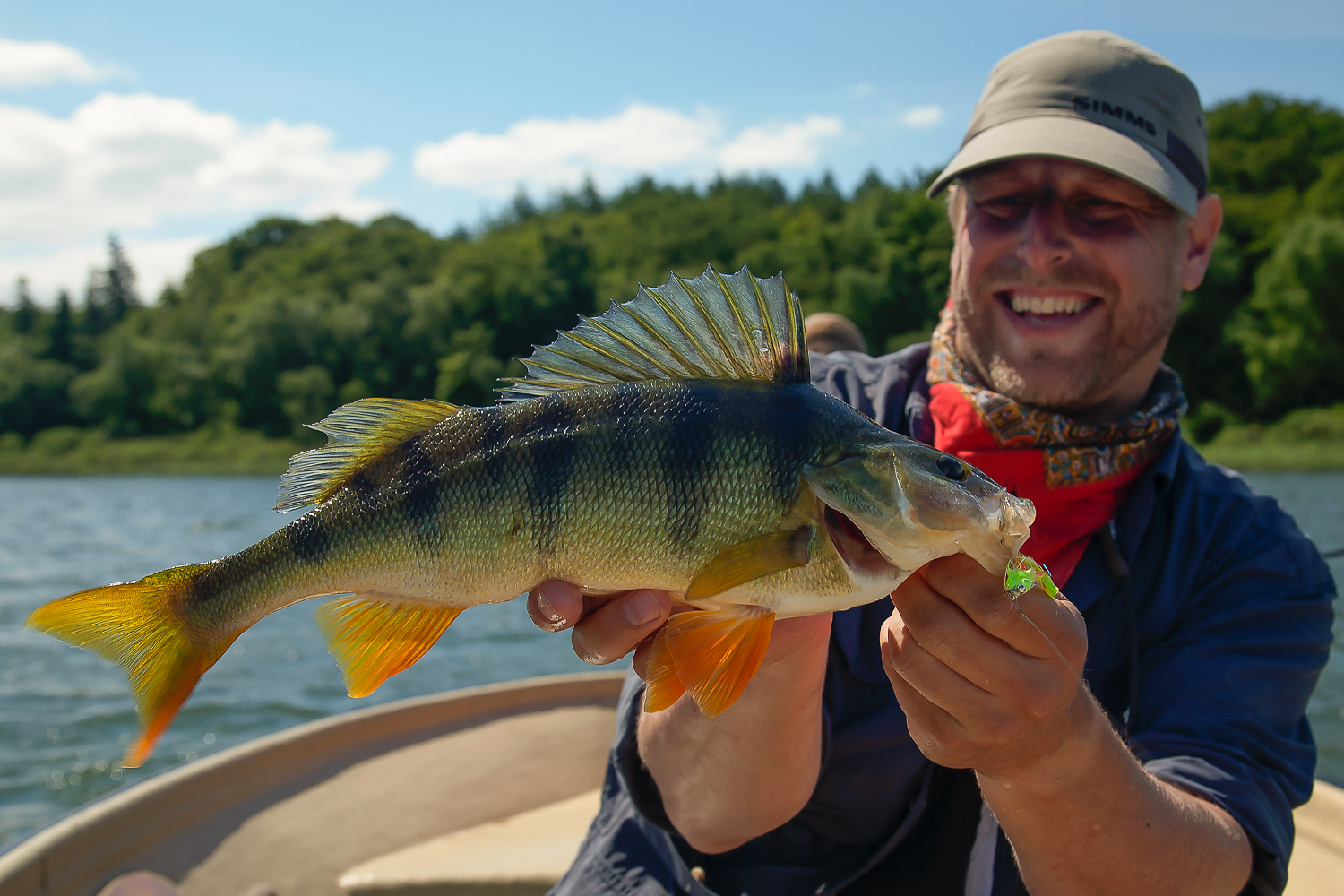 Summer perch – on the surface… and below - Ahrex Hooks