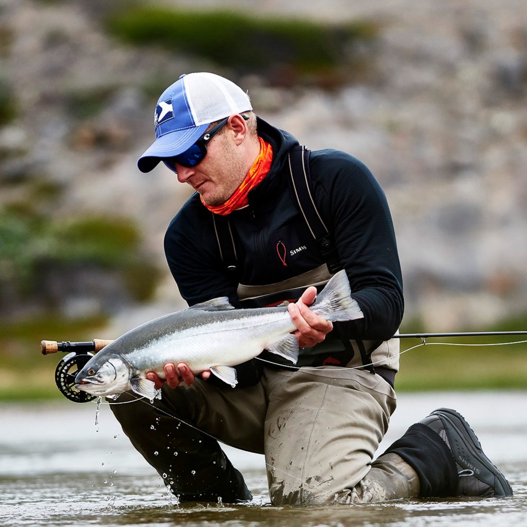 Greenland essay image