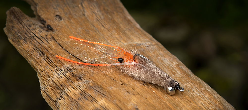 SA250 – Shrimp - Ahrex Hooks