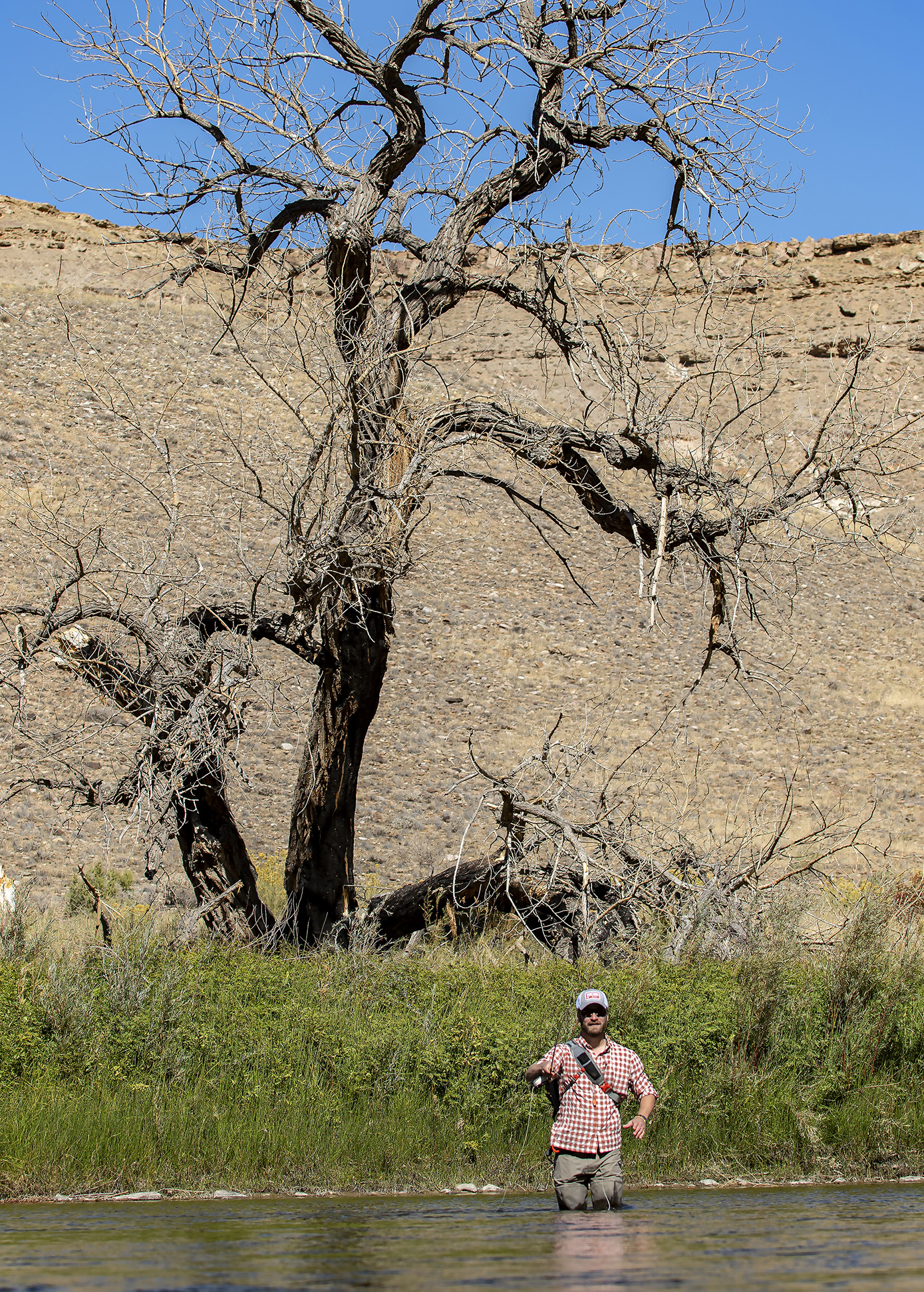 Gunnison - Andreas Andersson-10