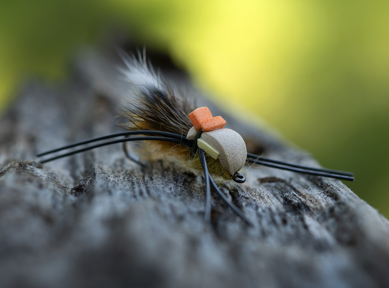 Tan Foam Beetle by Bri-02