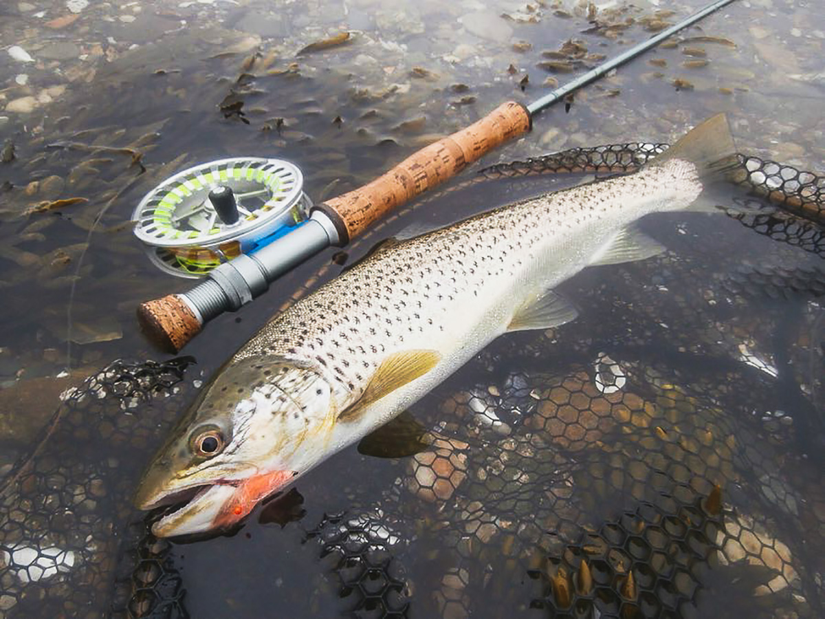 https://ahrexhooks.com/wp-content/uploads/2020/02/Credit-Connor-Maclennan-@coastal_flyfishing_scotland.jpg