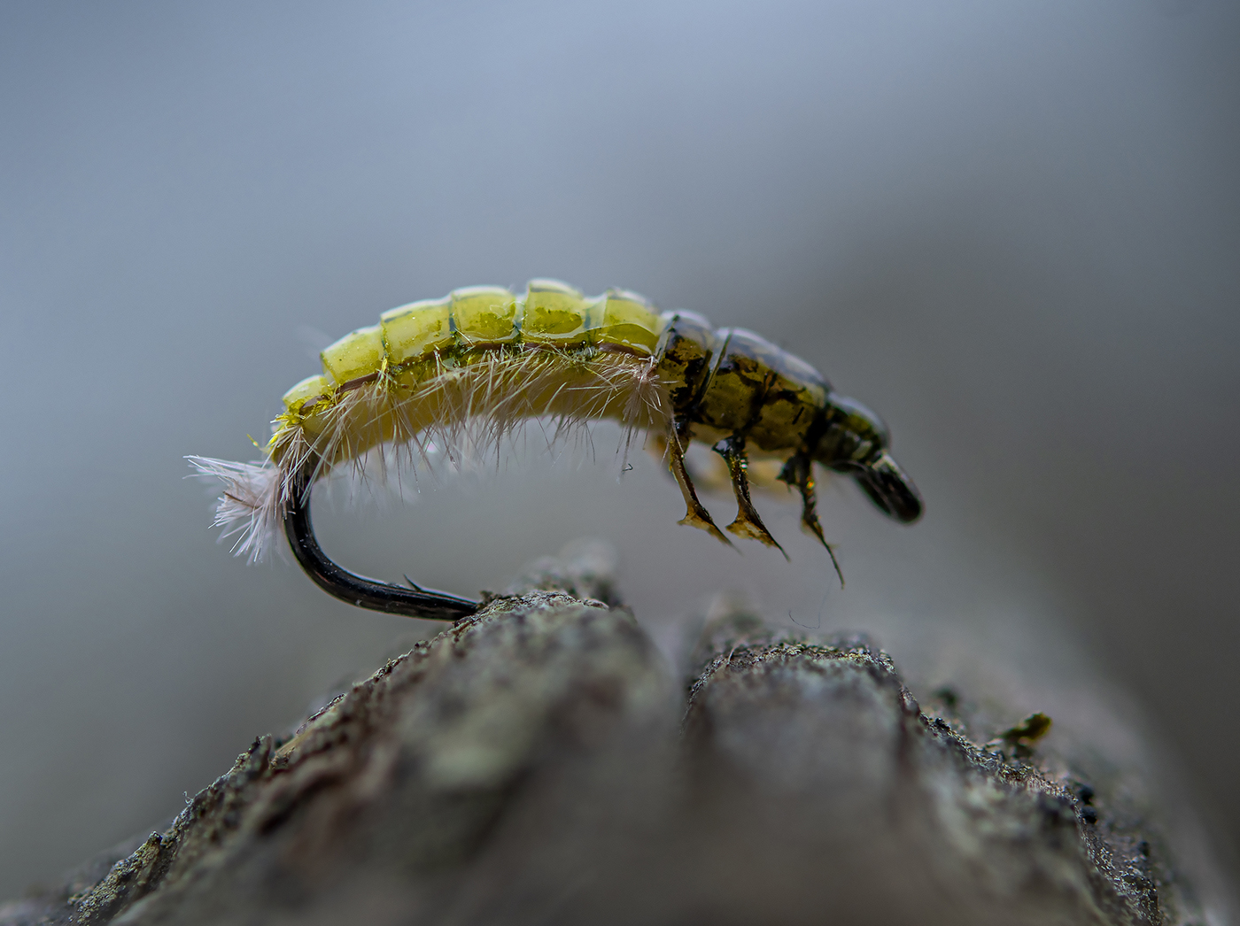 Lt. Olive Caddis Larva by Jan de Haas-05