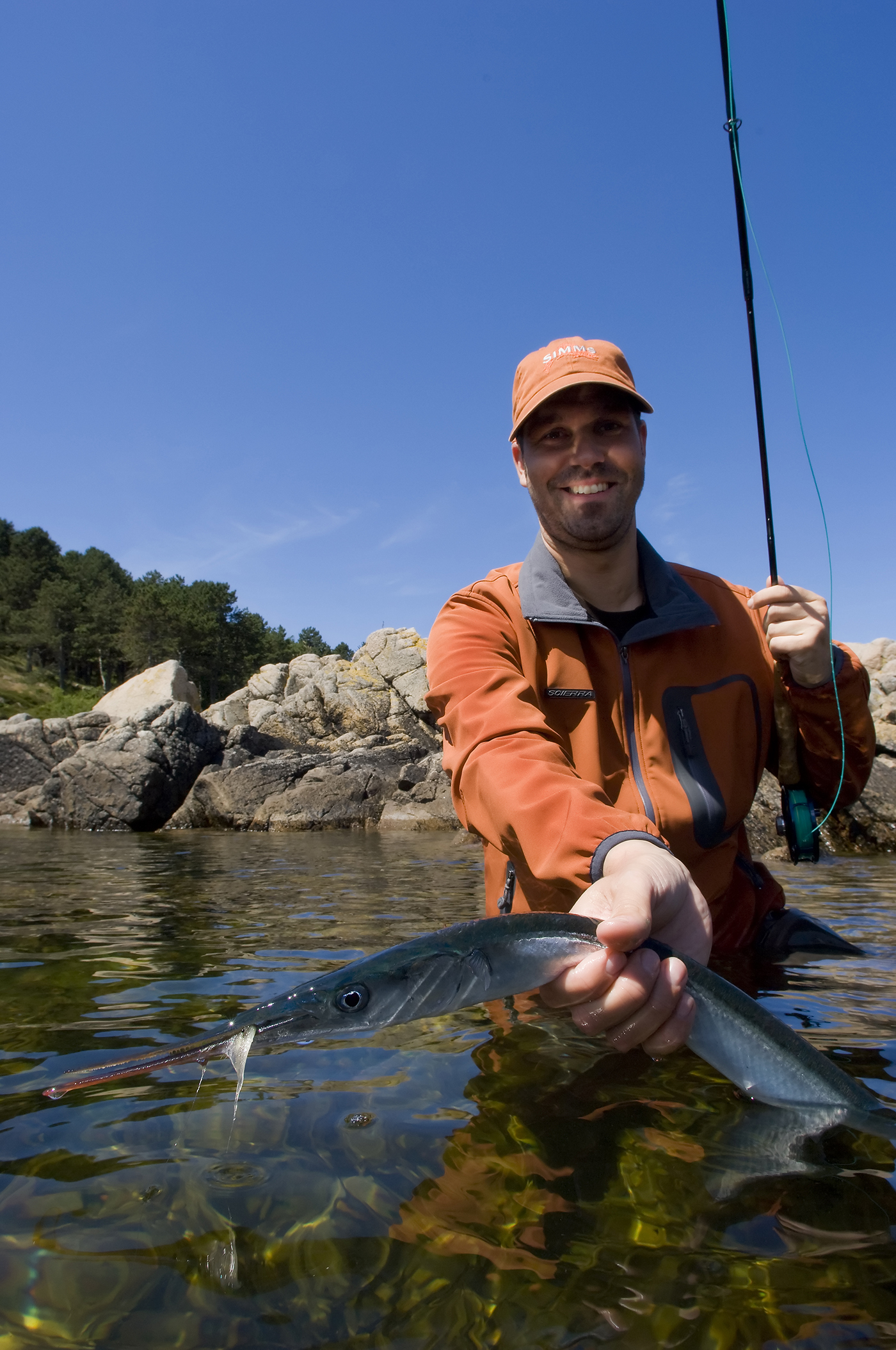 Garfish fever « Fishing with Rod Blog