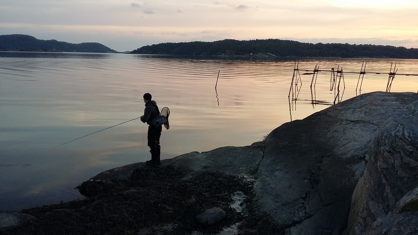 fishing planet night fishing california