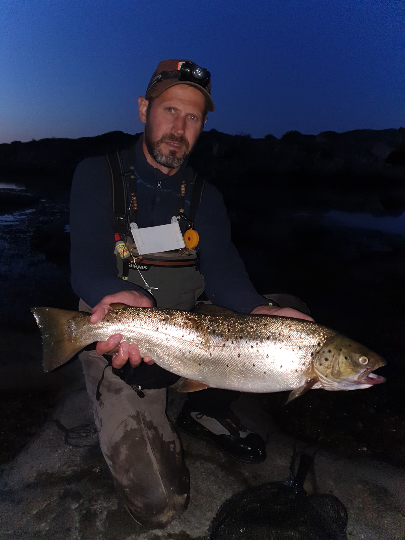 Sea Trout - Ahrex Hooks