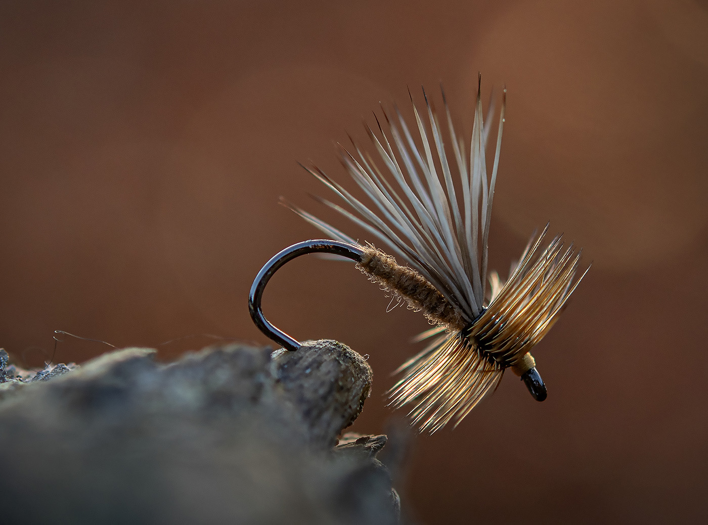 Brown Caddis by Luke Stacy-01