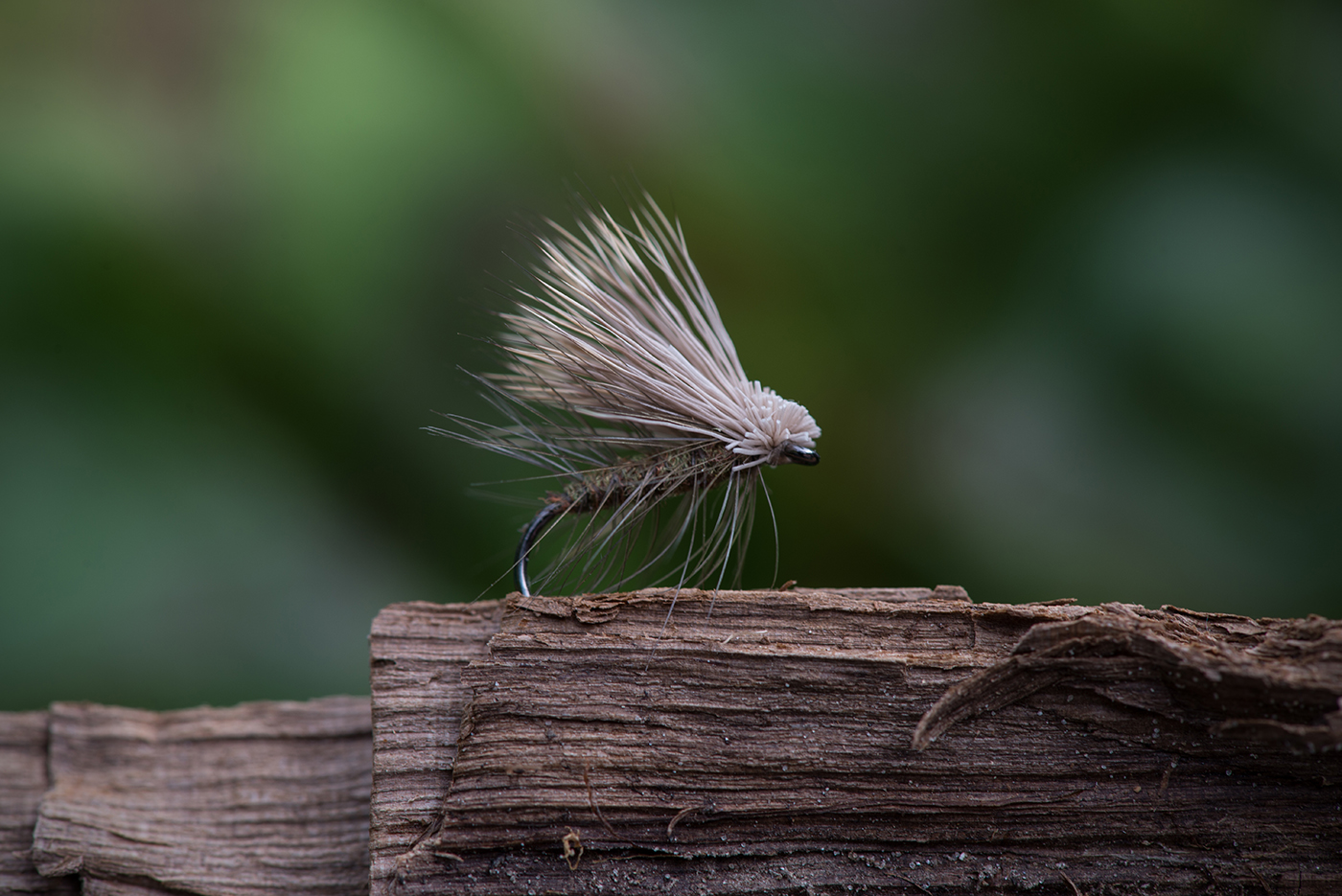 CDC and Elk hair caddis/sedge dry fly