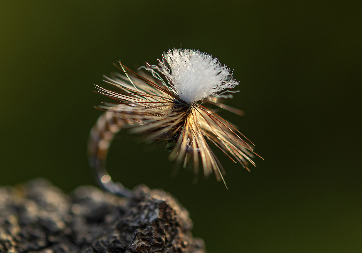 Brown Bodied Parachute by Jan de Haas-03