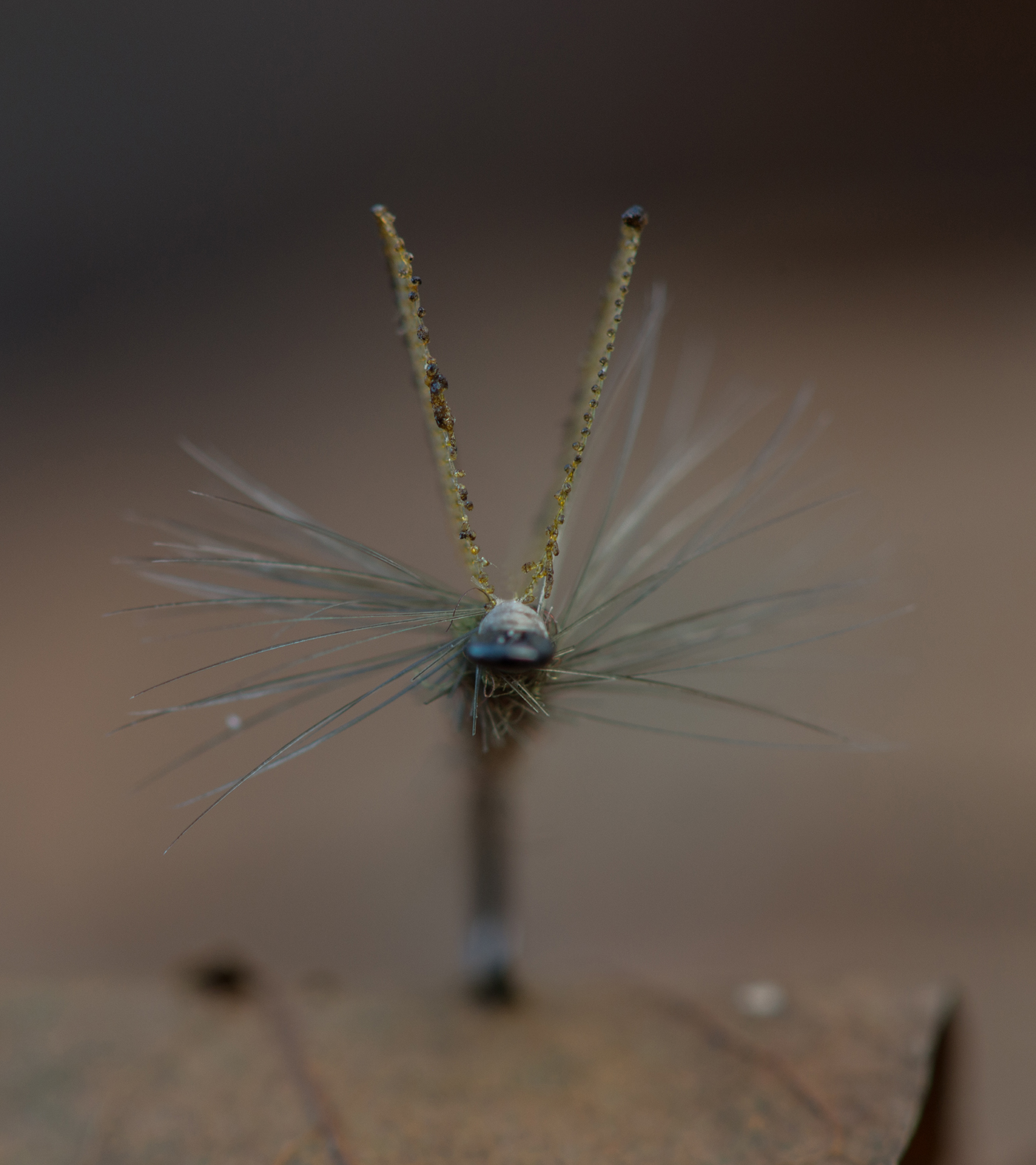 How to tie burnt wing sedge