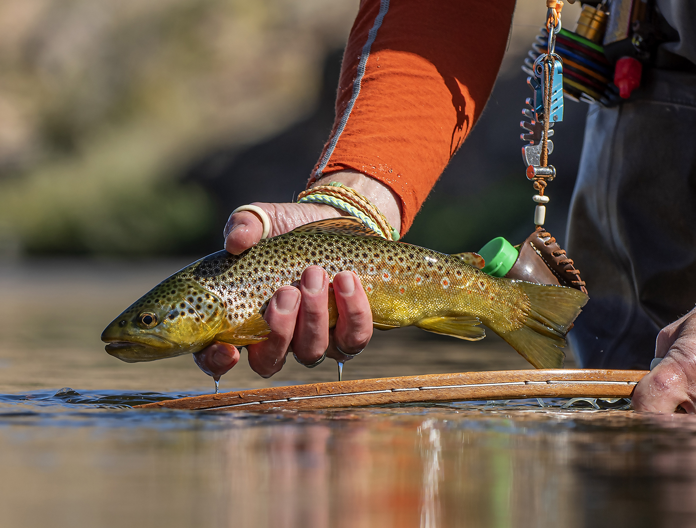 FLY TV - Dry Fly Sea Trout Fishing in Denmark 