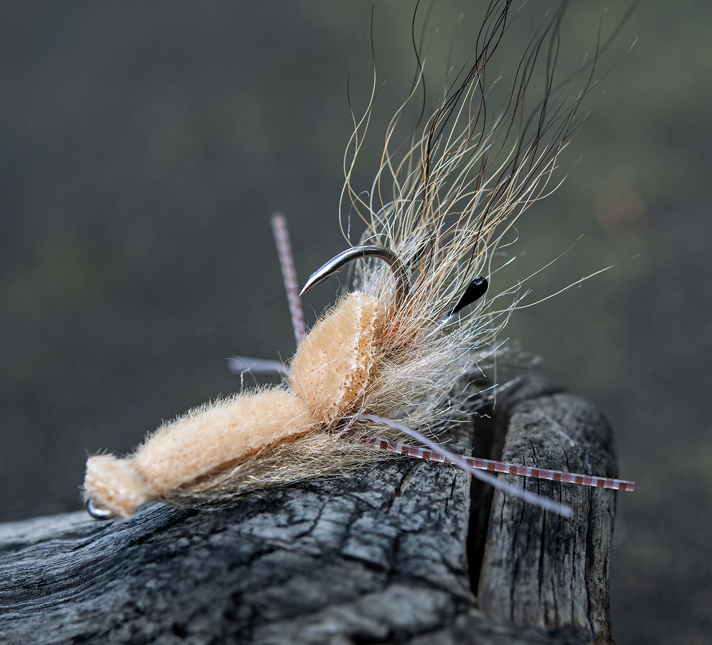 Foam Back Upside Down Shrimp by Cory Kendrick-01