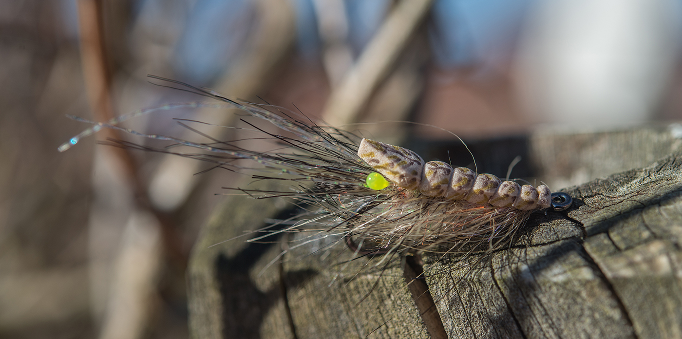 FoamBackShrimp