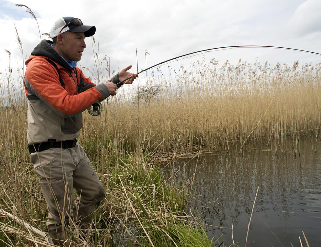 Ahrex FW562 Short Nymph Hook - Spawn Fly Fish– Spawn Fly Fish