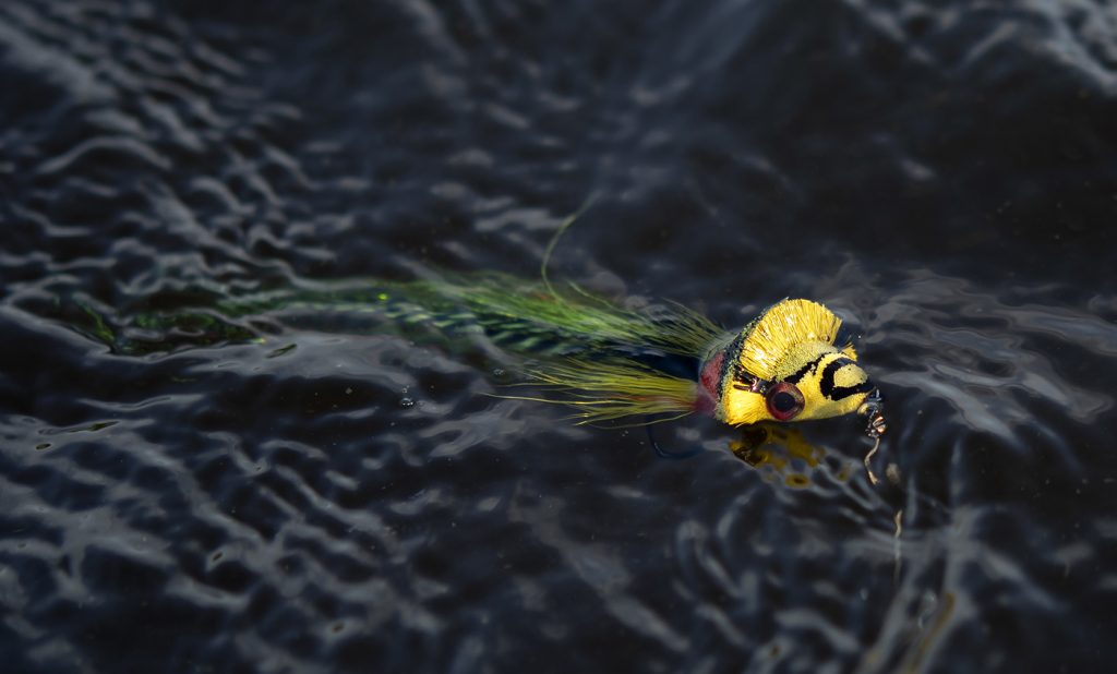 Dahlberg Diver by Andreas Andersson-05