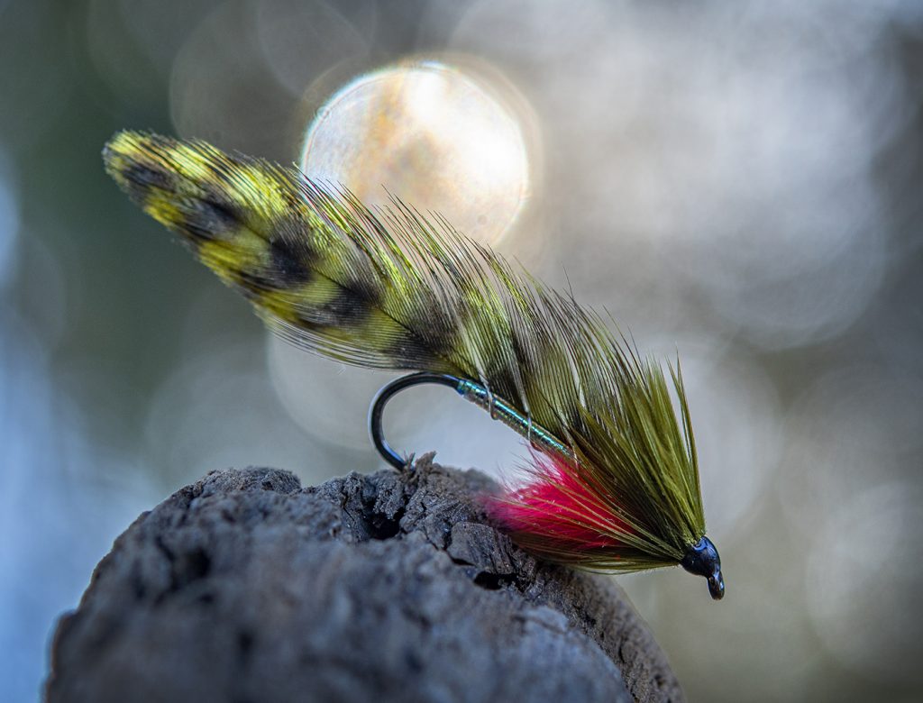 FW580/581 – WET FLY - Ahrex Hooks