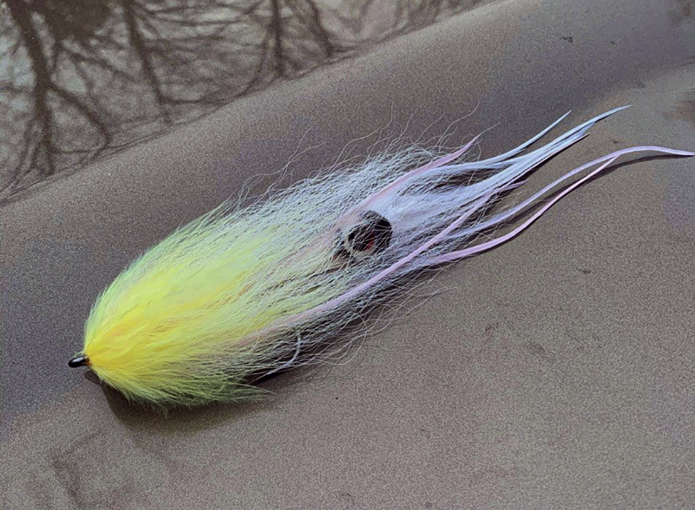 Squid Fly