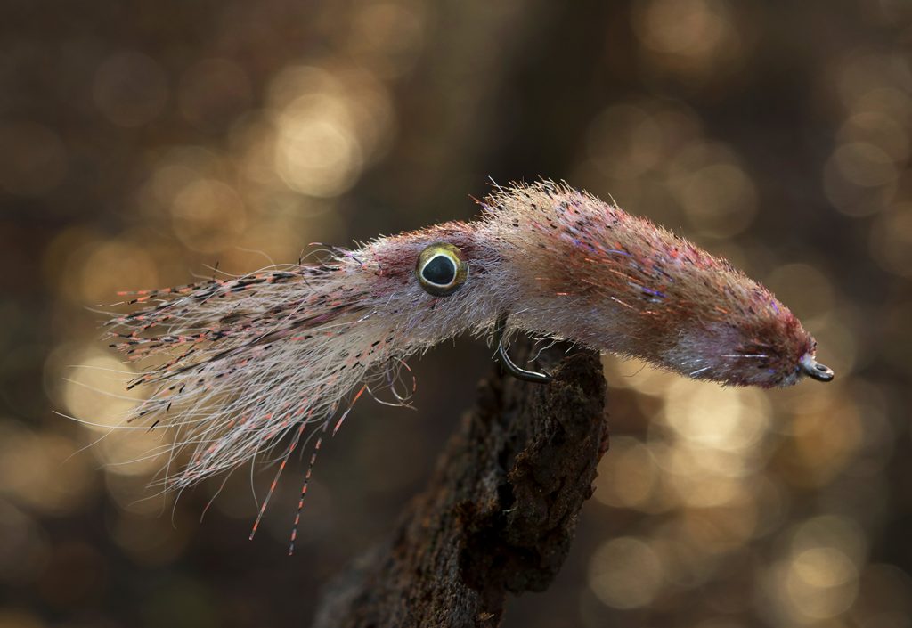 SOUZA: Stripers find squid flies irresistible