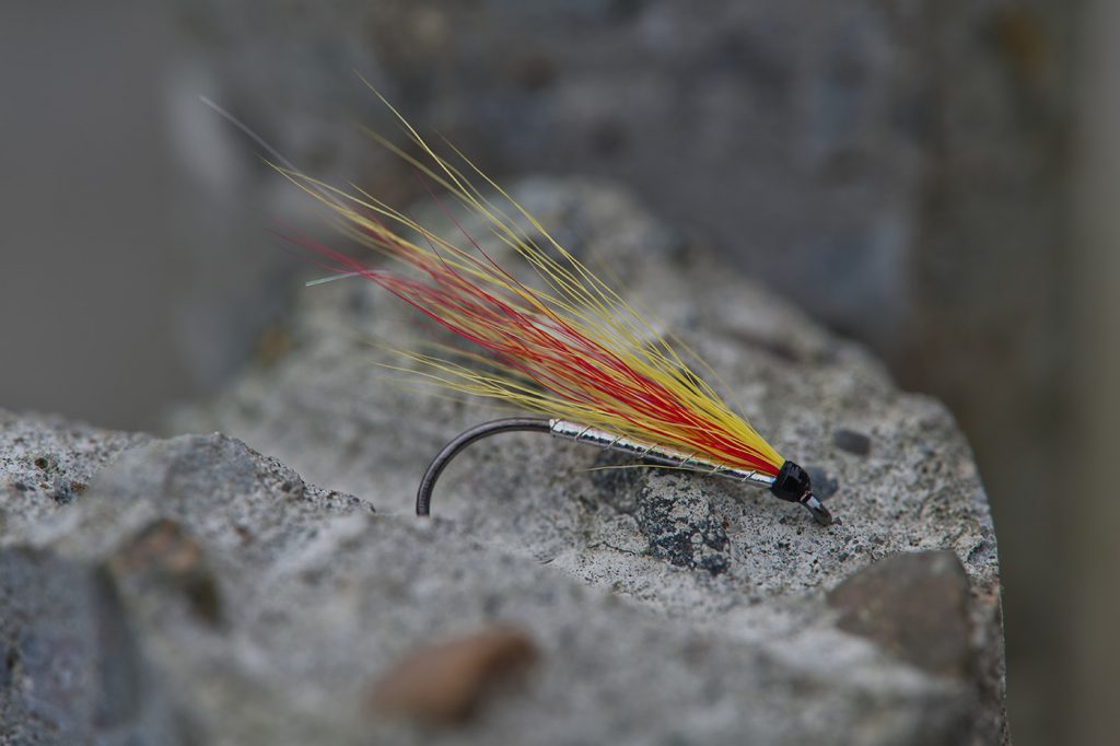 What Are Fly Fishing Wet Flies? - Trickyfish