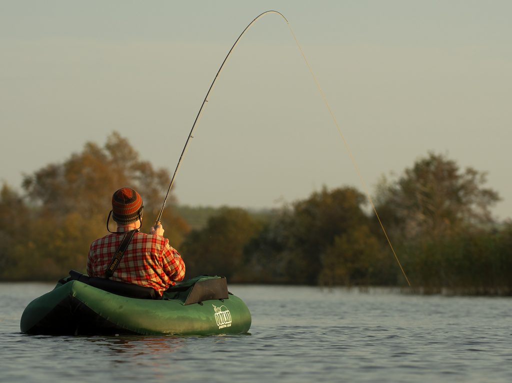 Predator season - Ahrex Hooks