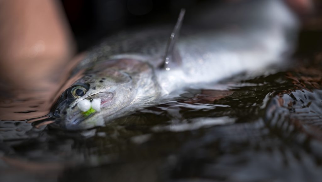 Sinking fly line and the Booby Fly - Michael Jensens Angling